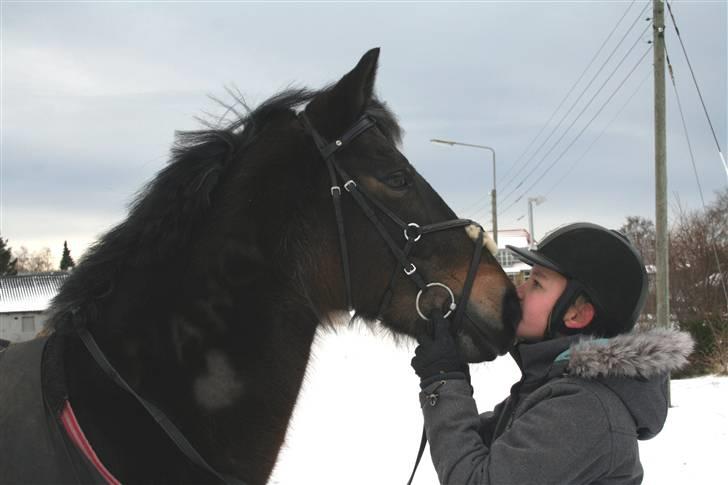 Irsk Sportspony Nancy † R.I.P 11/1-10 † - Et stort kys til dig Nancy billede 19