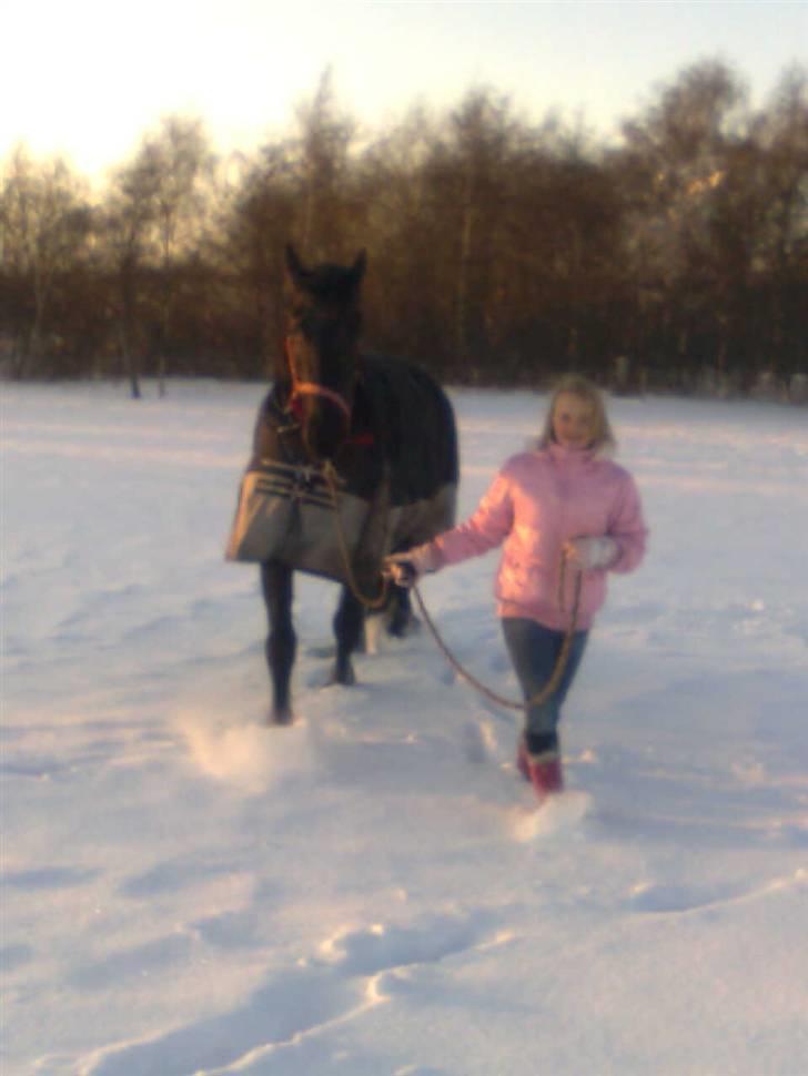 Frieser Renske Gepke. billede 5