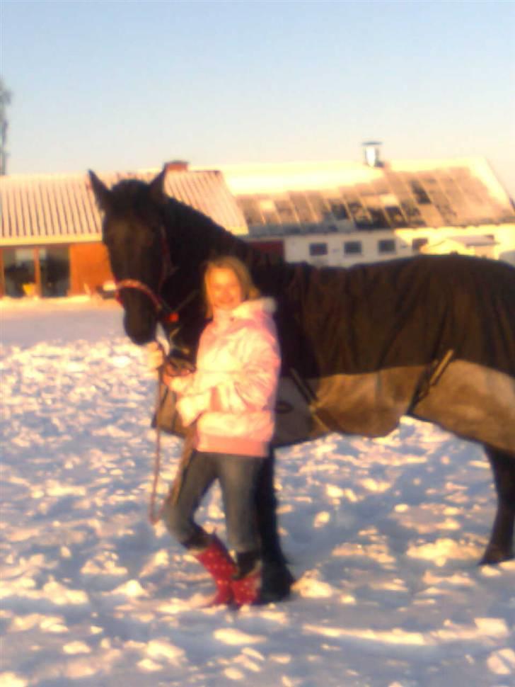 Frieser Renske Gepke. billede 6