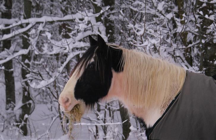 Tinker Katinka billede 13