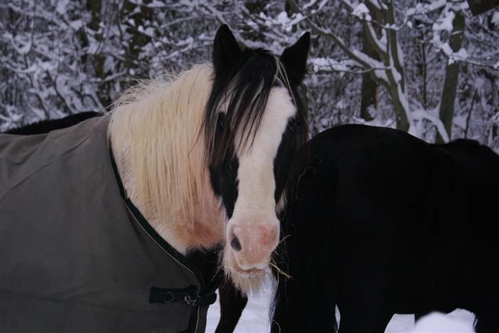 Tinker Katinka billede 14