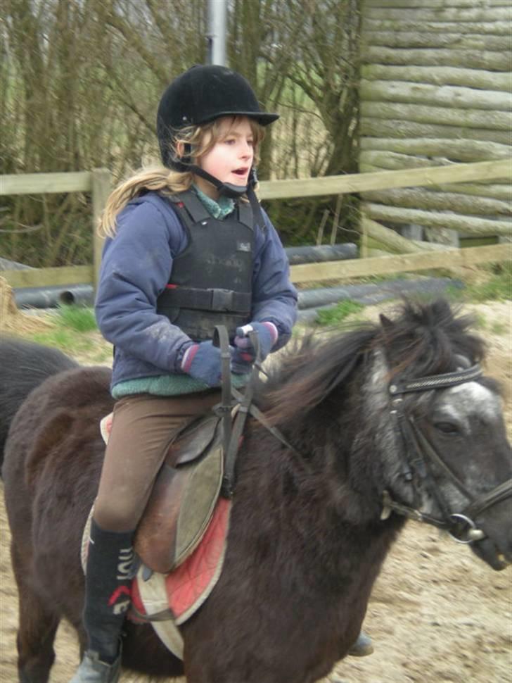 Anden særlig race Tequila. - tequila du er bare så dejlig at ride på!  du stak ikke af med mig billede 8