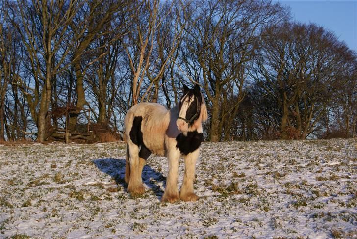 Tinker Katinka billede 15