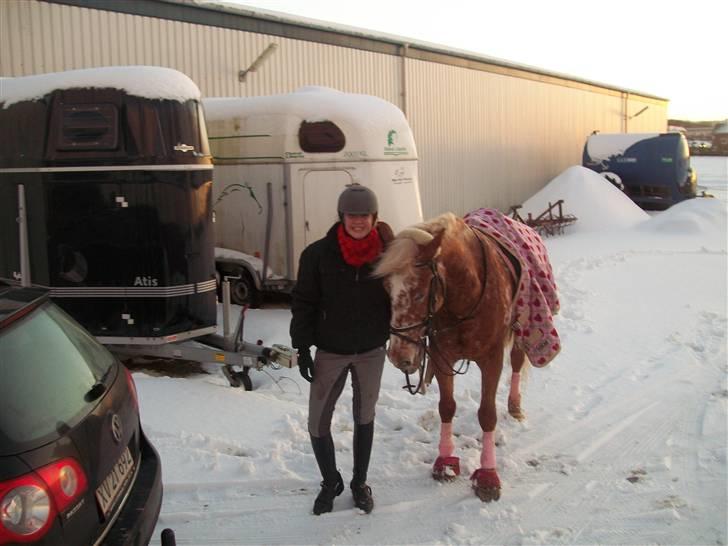 Anden særlig race Onyx ¤SOLGT¤ )': - #20 efter jeg var faldet af xD - hmm? klar til at hoppe op igen? (: <3 billede 20