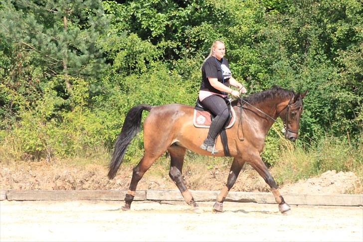 Holstener Chairman 7 - Træning d. 26. juli 2010 .. Taget af Nicoline Wolk med mit kamera , tak ! billede 6