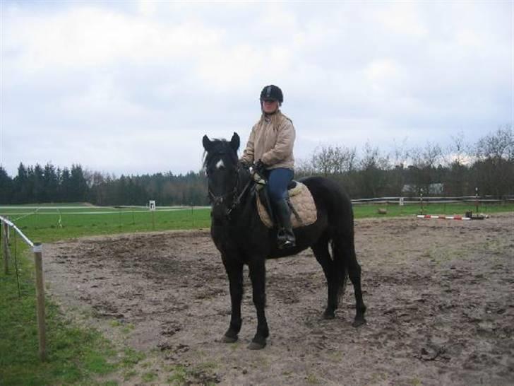 Anden særlig race Moonlight <3 t billede 8