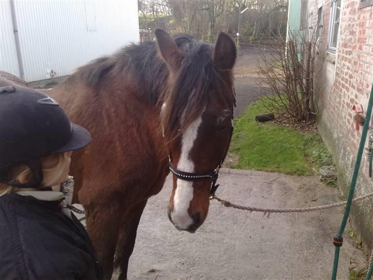 Anden særlig race Max   †DØD†:( - han du en gulerod Julie???? billede 6