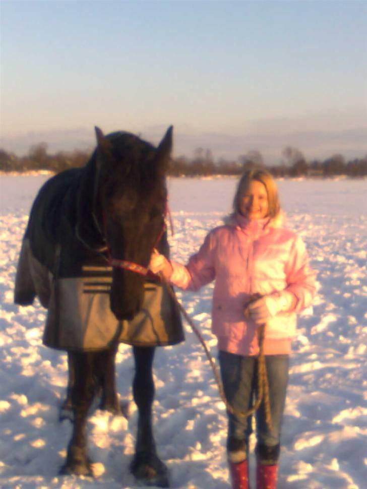 Frieser Renske Gepke. billede 7