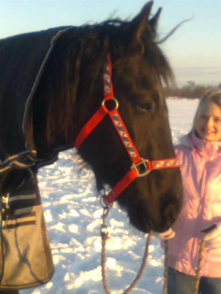 Frieser Renske Gepke. billede 9