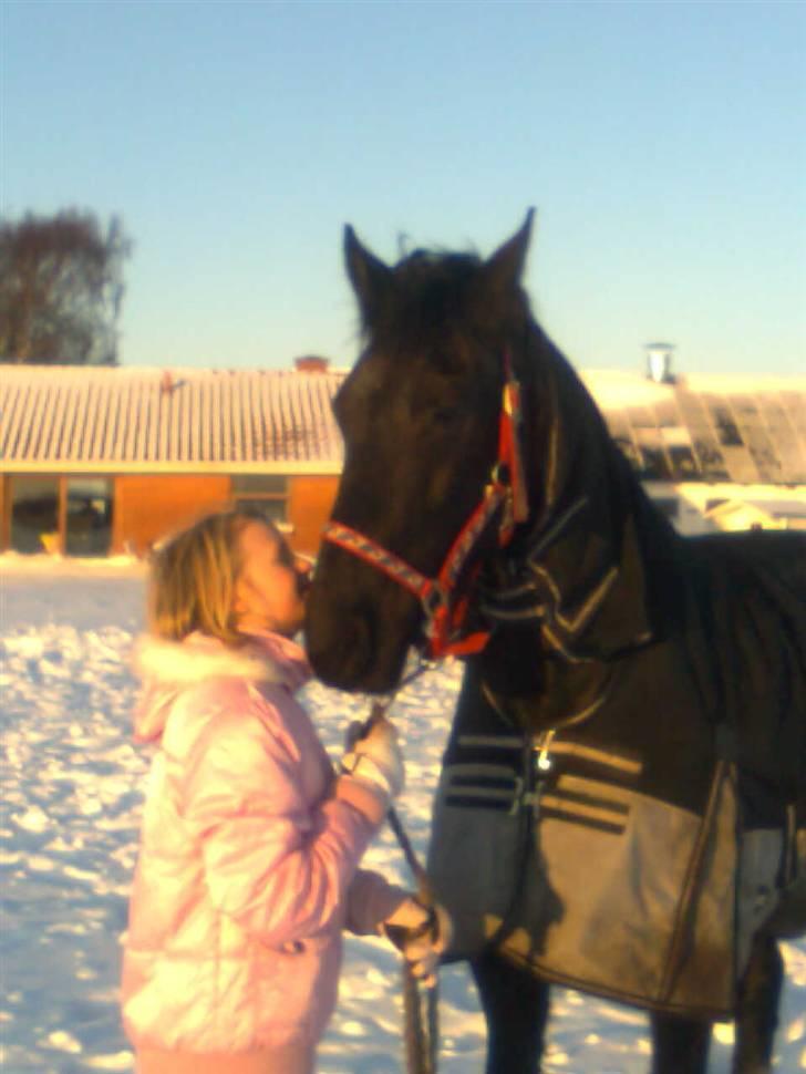 Frieser Renske Gepke. billede 11