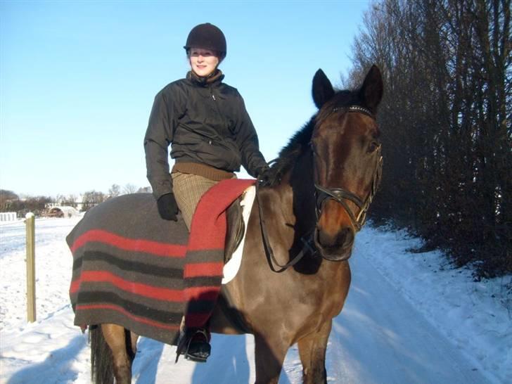 Anden særlig race Præstegårdens Danny -part billede 3