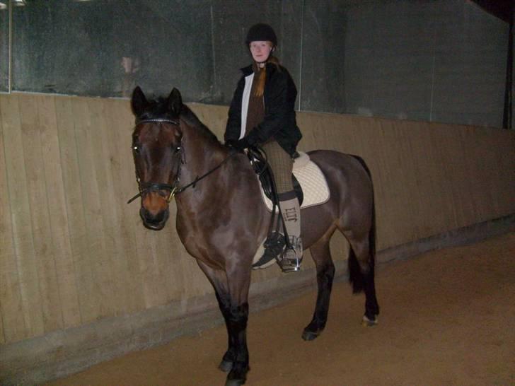 Anden særlig race Præstegårdens Danny -part billede 4