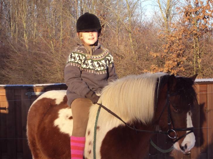 Anden særlig race Moonlight billede 13