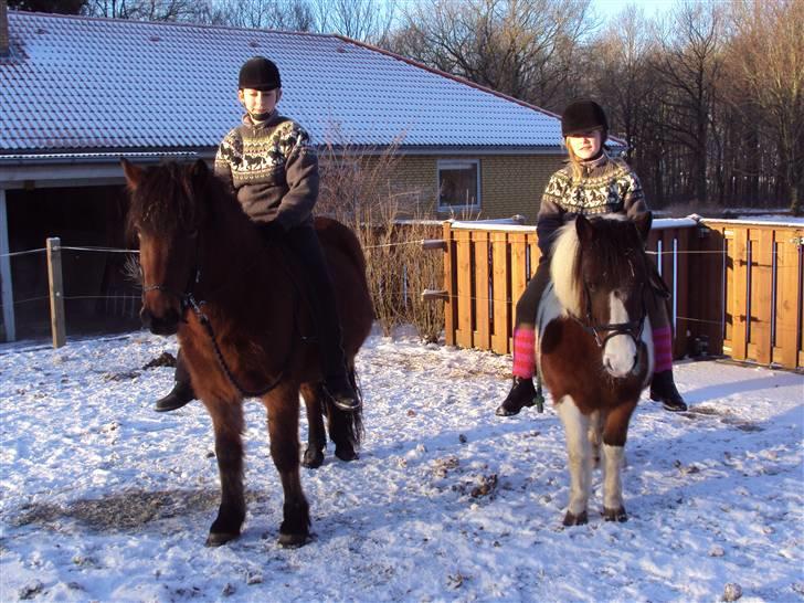 Anden særlig race Moonlight - Moonie og Brana...<3 billede 18