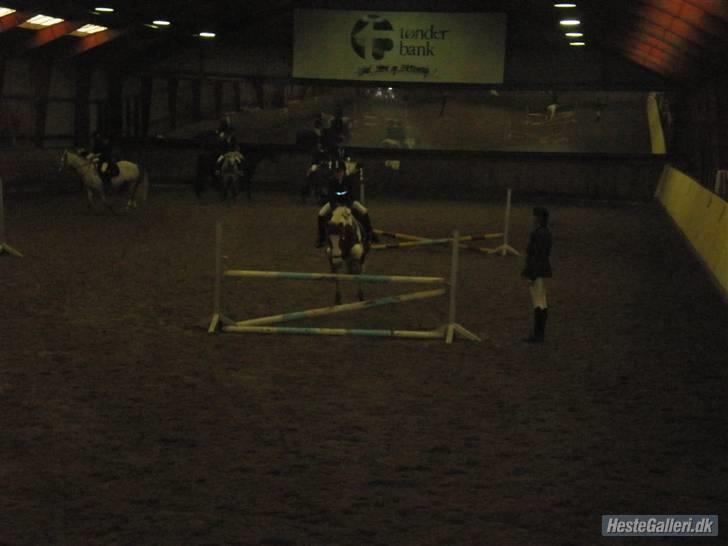 Anden særlig race Lucas<3 den bedste - Mig og Lucas - højdespring! Vandt for kat.II (80cm.) men vi var ogse de eneste der sprang for Kat.II billede 3