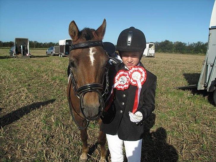 Anden særlig race o0o0 CHAPPY 0o0o Solgt<3 - to 1 pladser d. 25-09-2010 :-) billede 1