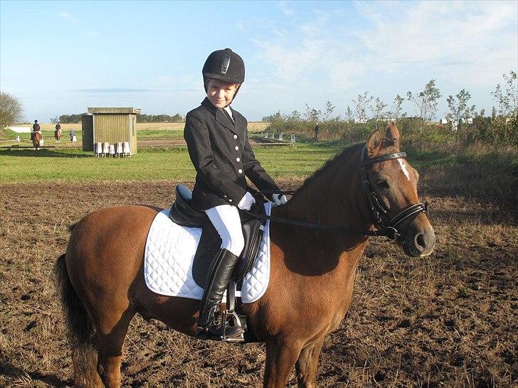 Anden særlig race o0o0 CHAPPY 0o0o Solgt<3 billede 4