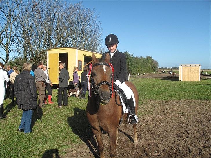 Anden særlig race o0o0 CHAPPY 0o0o Solgt<3 billede 8
