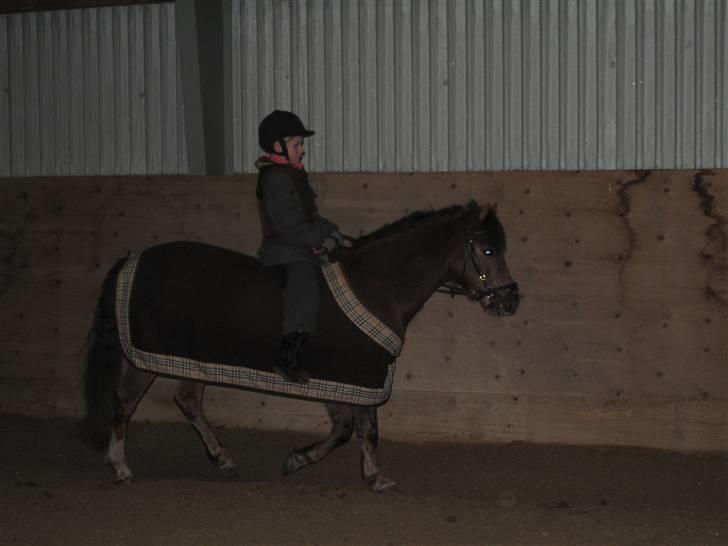 Anden særlig race o0o0 CHAPPY 0o0o Solgt<3 billede 11