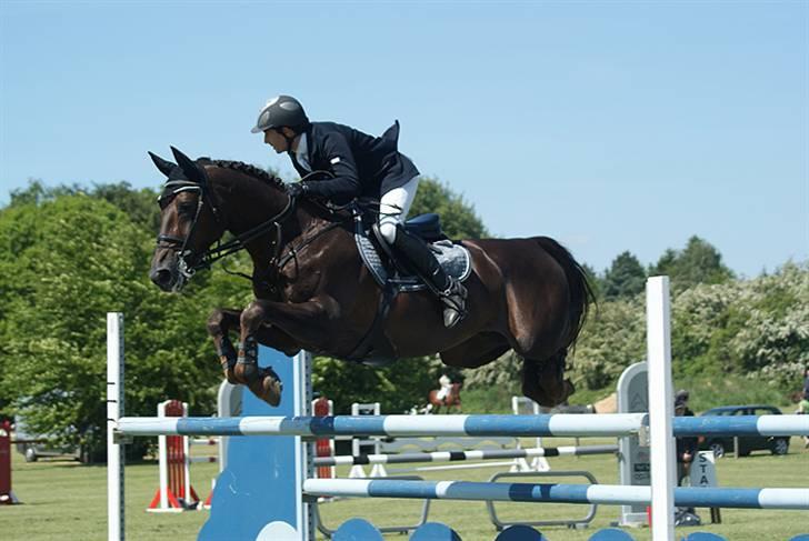 Westfaler Baquito - Kolding 2009, youngster 135 cm - Foto: LB  Photo billede 2