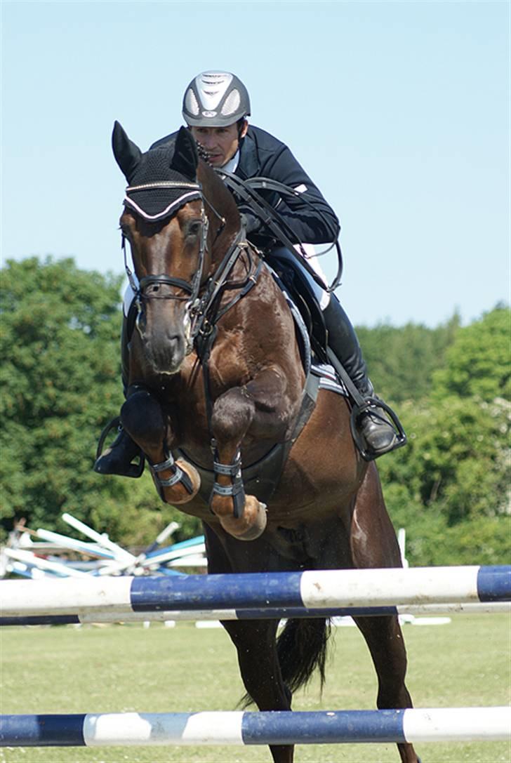 Westfaler Baquito - Kolding 2009, youngster 135 cm - Foto: LB  Photo billede 3