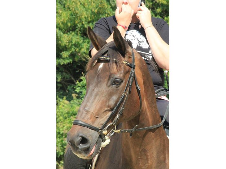 {{currentPhoto.altText}} billede {{currentPhoto.number}}