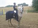 Dansk Varmblod Backersdal´s Lollipop