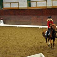 Anden særlig race Bolero (tidligere part)