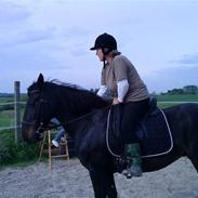 Anden særlig race freja