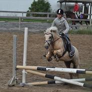 Anden særlig race Isabella R.I.P.