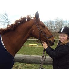 Anden særlig race jardih