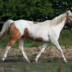 Paint Smokes Miss Jaynie