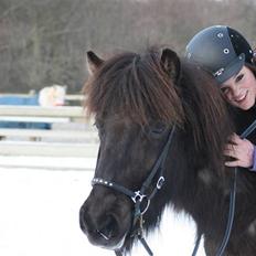 Islænder Josefina frá Vakurstödum 