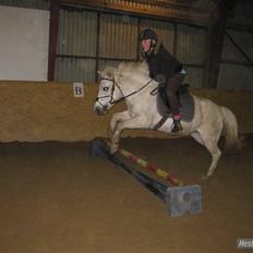 Anden særlig race GUFFI