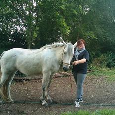 Anden særlig race Savannah R.I.P