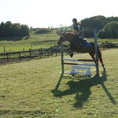 Anden særlig race Alina *R.I.P*