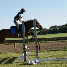 Anden særlig race Alina *R.I.P*