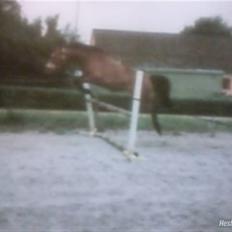 Pinto Bacardi Breezer **SOLGT**