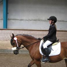 Anden særlig race Surviver SOLGT