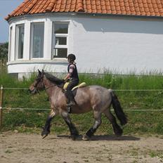 Belgier Mette Støvringgård 