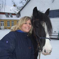 Irish Cob Kavanaugh/Kavanaugh'ty ;)
