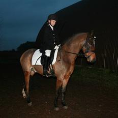 Anden særlig race Dyrkærgårds Atlantis