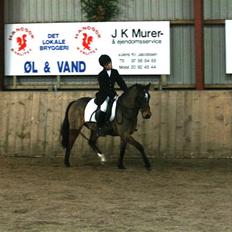 Anden særlig race Dyrkærgårds Atlantis