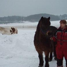 Koldblodstraver Bruna (Bumle) R.I.P