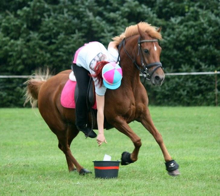 Tysk Sportspony Cassy  - første games stævne<3 pony cup billede 13