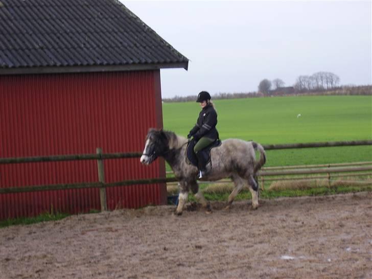 Anden særlig race Salt&Peber.. SOLGT  - Sophie er lige opppe en tur å han <33 C: Han er så søød billede 16