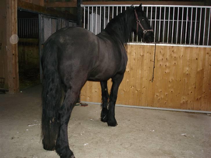 Frieser Aaltje - Aaltje ser om jeg mon har en gulerod billede 3