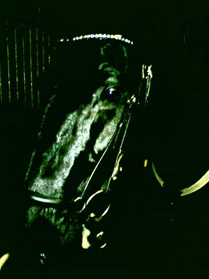 Anden særlig race Doncan   **SOLGT** billede 12