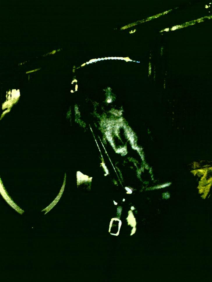 Anden særlig race Doncan   **SOLGT** billede 13