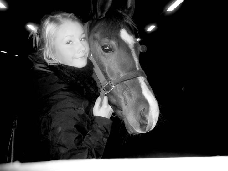 Anden særlig race Hannibal **Solgt** /: billede 20